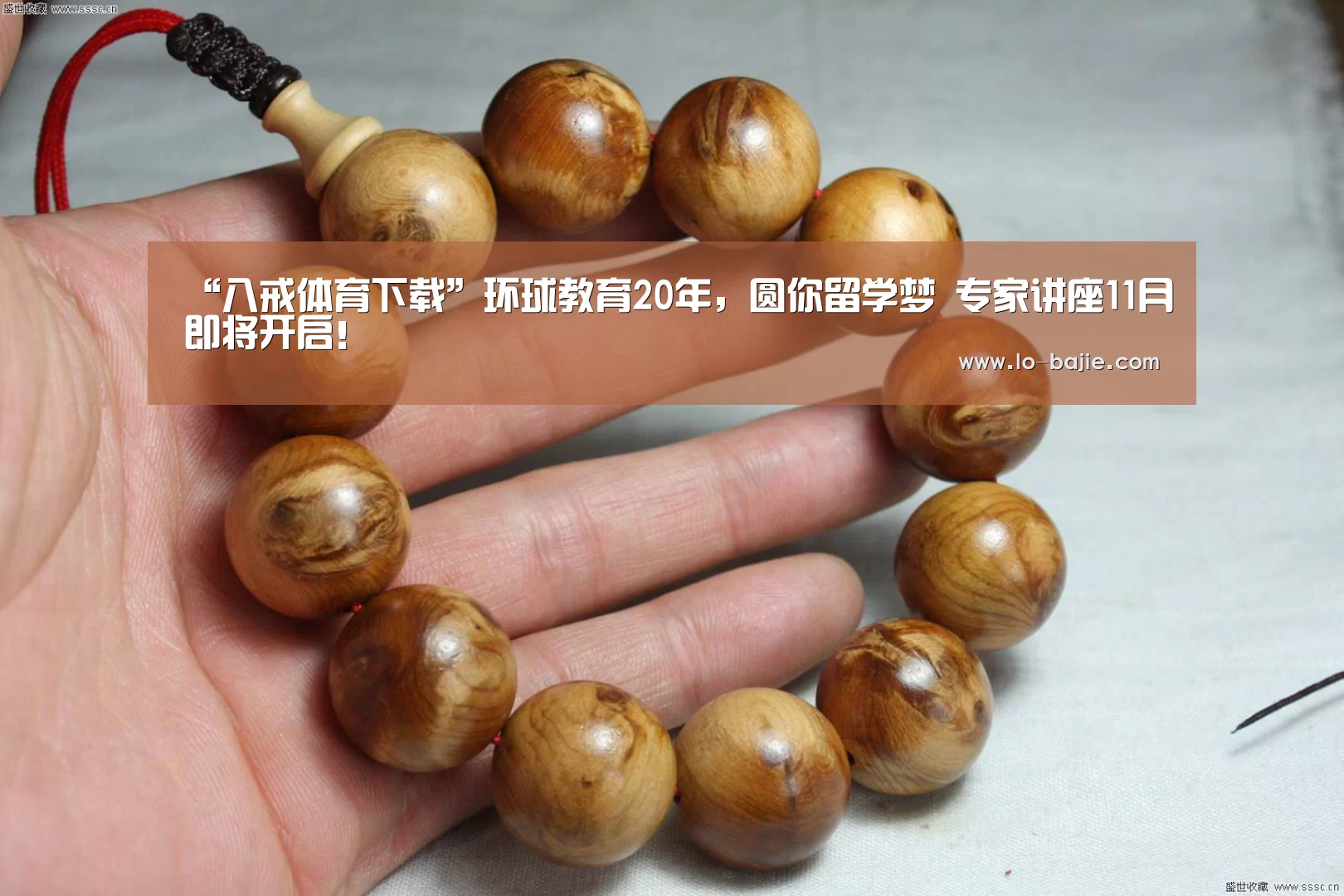 “八戒体育下载”环球教育20年,圆你留学梦 专家讲座11月即将开启!(图1) 八戒体育下载